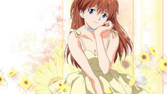 Neon genesis evangelion asuka