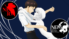 Neon genesis evangelion ayanami