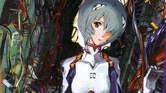 Neon genesis evangelion ayanami rei