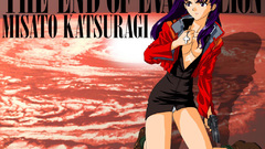 Neon genesis evangelion end