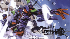 Neon genesis evangelion EVAs