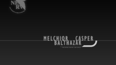 Neon genesis evangelion NERV