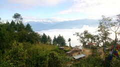 nepal landscape Trees