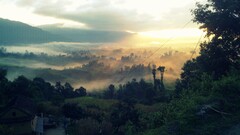 nepal morning landscape sunlight mist nature Trees