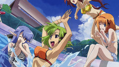 Nerine Anime Manga Primula