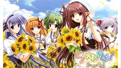 Nerine Primula (Shuffle!) shuffle