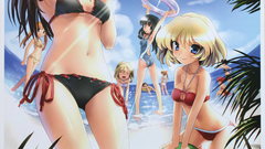 Net image high www Resolution tsdm