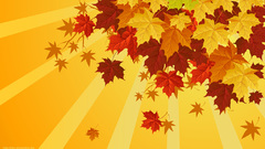 Netbook herbst eieieiverpoorten hacktintosh