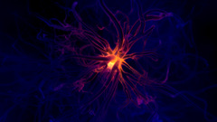 Neuron abstract