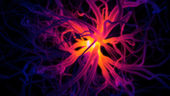 Neuron abstract