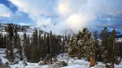 Nevada sierra nature