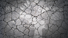 New Brand cracked just Made leave