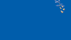 New colors Brand solid just Made continued airdrop