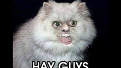 New computer No backgrounds