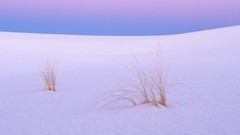 New mexico tranquility white sands