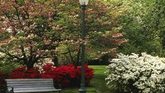 New York City central