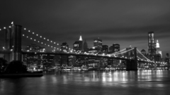 New york city monochrome