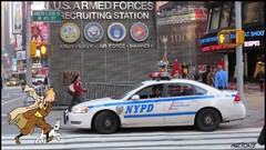 New york city Tintin