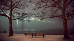 new york city winter mist bench calm Bridge Trees snow night