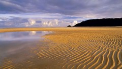 New Zealand Islands south national park abel