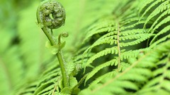 New Zealand national park