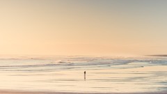 New Zealand silhouettes Beaches sea shorelines