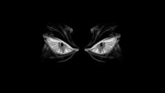 Nexus com desktopnexus