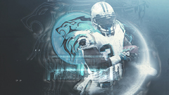 Nfl carolina panthers