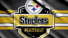 Nfl pittsburgh steelers