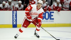 Nhl detroit red wings