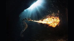 Nice 800 collection saved few 1280