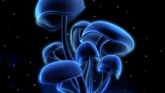 Nice blue mushrooms Art