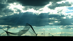 Nice landscape paint black