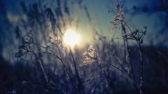 Nicely You only high asked cause Resolution