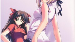 Night Anime Cinderella saber anime girls mythology artbook