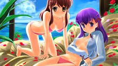 Night Anime crazy clover fate stay night matou sakura fate 