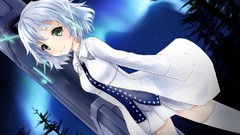 Night Anime green eyes short hair gray hair animal ears strike 