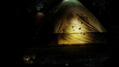 Night black children tent Camp lanterns gnomes gnome forests 