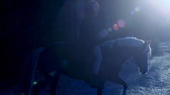 Night blue light woman lights Horses moonlight models