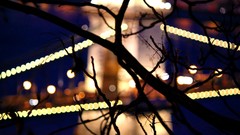 Night branches lights silhouettes bokeh