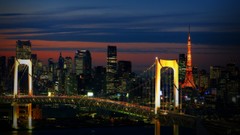 Night Bridges architecture