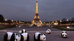 Night clouds light Eiffel Tower Paris France tower panda bears