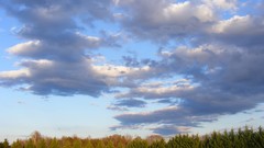 Night clouds the sky skies forests