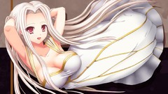 Night fate zero irisviel von einzbern fate series