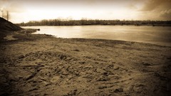 Night fire Friends Beaches