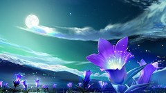 Night Flowers moon