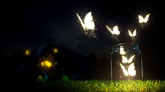 Night glass Butterflies