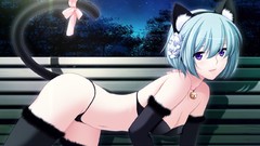 Night gloves elbows anime girls short hair bra animal ears game 