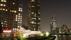 Night Japan cities