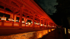 Night Japanese Asia asian